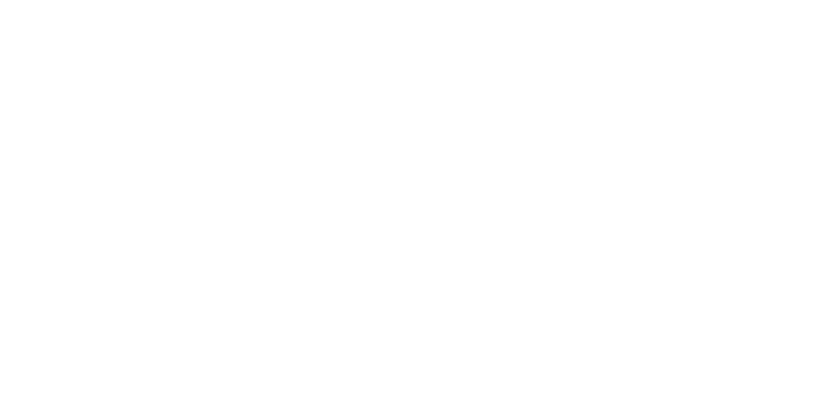 Pulse Foundation